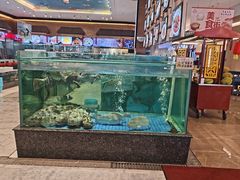 -聚福宝合苑食府(南头镇店)