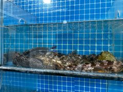 -宾朋海鲜饭庄(兴海路店)