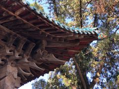 -窦大夫祠