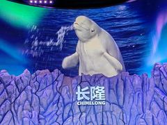 -珠海长隆海洋王国