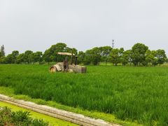 -嘉北郊野公园