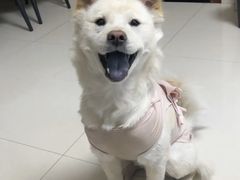 -贝利宠物医院·骨科·眼科·肿瘤转诊中心(南坪诊疗中心)