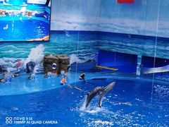 -多彩贵州城极地海洋世界