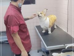 -FAELING PETS美天灵宠物(富力广场店)