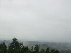 -蔡伦竹海