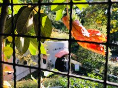 -三鹰之森吉卜力美术馆