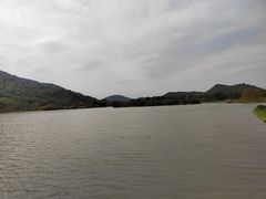 -风云岭森林公园