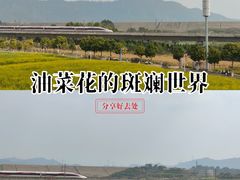 -光明小镇欢乐田园