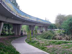 -白鹭湾湿地公园