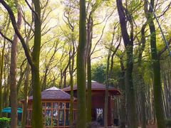 景点-同里国家湿地公园