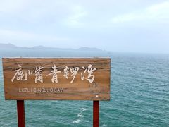 -杨梅坑
