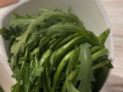 -同仁四季椰子鸡(福田东园总店)