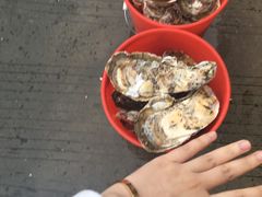 -蚝专家(北滘店)