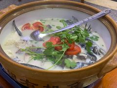 -全乐鱼馆·淳牌有机鱼直营店