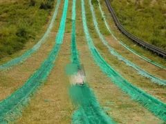 -古柏渡飞黄旅游区