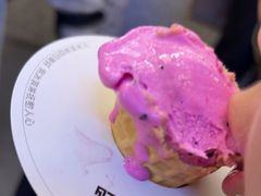 -野人先生Gelato(上海长宁龙之梦店)