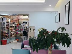 -北京观赏动物医院·24小时大型综合·猫专科·异宠专科