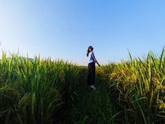 -煲煲掂风味煲仔饭餐厅(西区店)