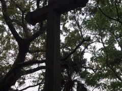 -主教山小堂
