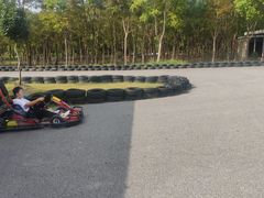 -上海海湾国家森林公园