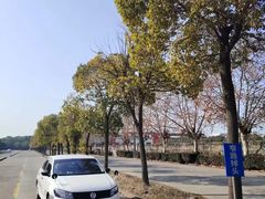 -胜华驾校·小猫学车(银都店)