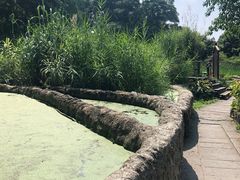 -成都市活水公园