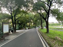 -海珠湖公园