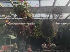 -The Grounds of Alexandria