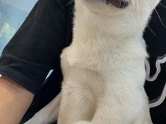 -美联众合24小时·皮肤科·外科·全科诊疗中心(华苑分院)
