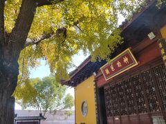 -上海青龙寺