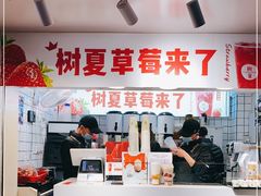 -树夏(建设路店)