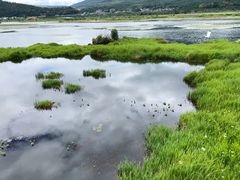 -腾冲北海湿地