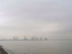 android_upload_pic-海鸥岛