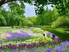 -上海共青森林公园