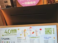 -一只酸奶牛(八一路店)