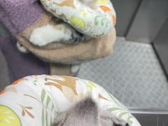 -狗舍宠物医院(四季商业广场店)