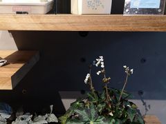 -微热山丘(台北民生公园门市店)