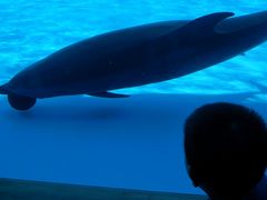 -西海国立公园九十九岛水族馆