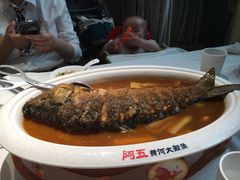 -阿五黄河大鲤鱼(英协路店)