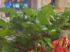 -粗粮人家·东北菜(洋桥店)