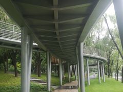 -大望京公园