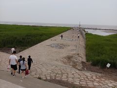 -南汇嘴观海公园