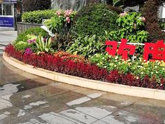 -水围村