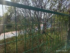 -五甲塘生态湿地公园