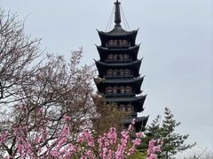 -上海方塔园