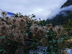-叠溪松坪沟景区