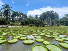 -中国科学院西双版纳热带植物园