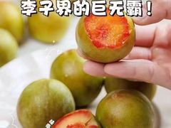 -鲜力达果品批发直销(青山店)