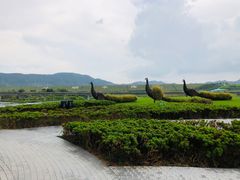 -光明小镇欢乐田园