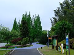 -宜兴龙背山森林公园
